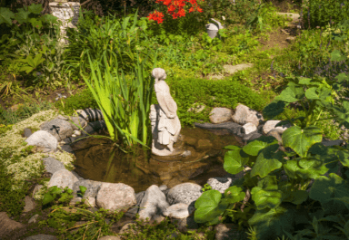 Backyard budget pond idea
