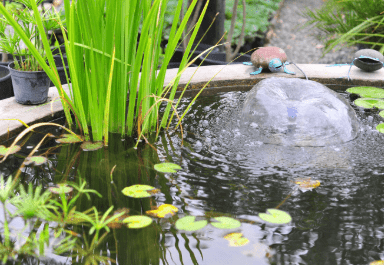 Backyard pond fountain idea