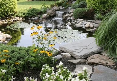 Backyard pond landscaping idea