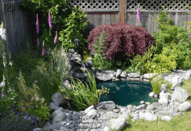Backyard small pond idea