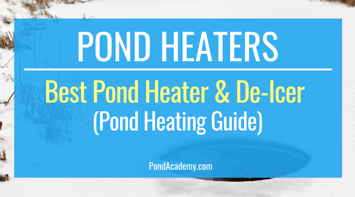 Choosing the Best Pond Heater & DeIcer for Your Pond