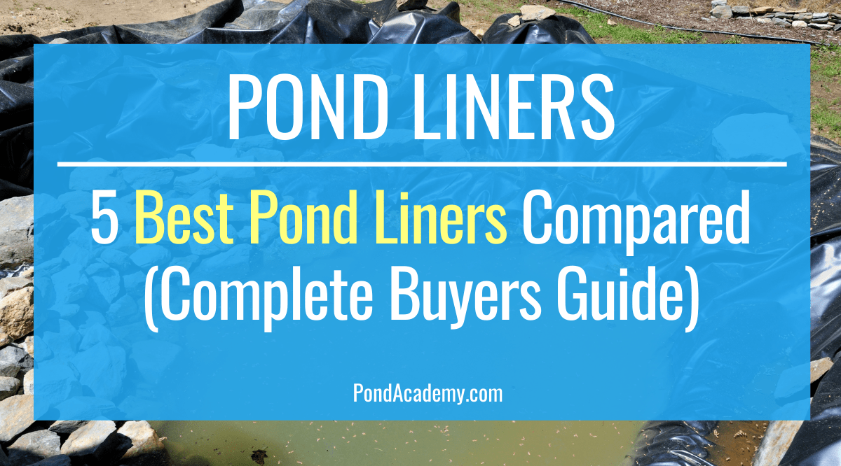 What's the Best Pond liner? The Top Materials & Brands Compared