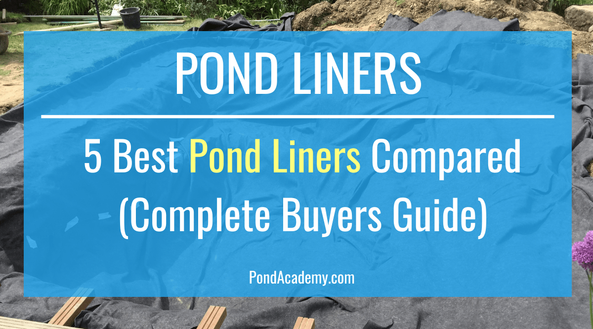 5 Best Pond Liners Compared (2020 Buyers Guide)