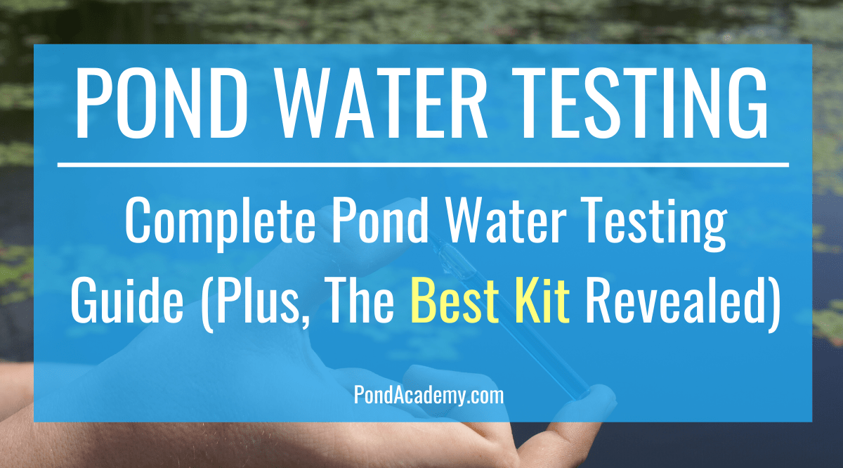 best pond water test kit