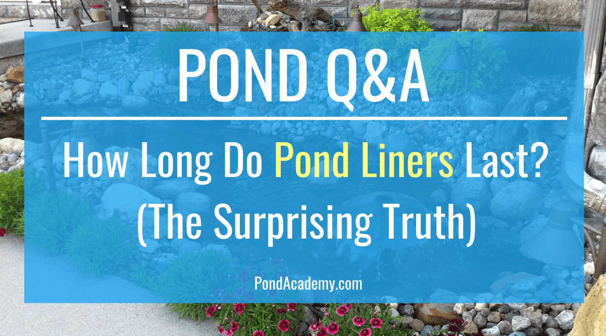 How Long Do Pond Liners Last? (The Surprising Truth)