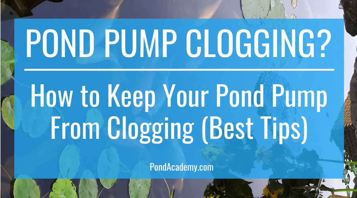 Here's How to Keep Your Pond Pump From Clogging (Best Tips)