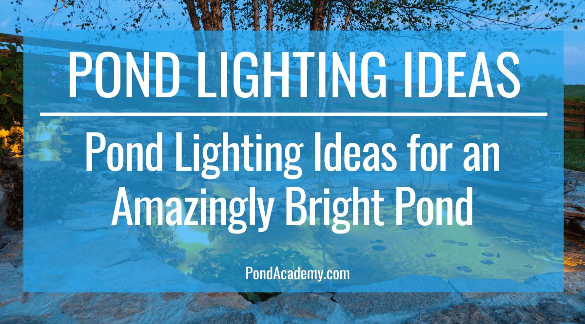13 Pond Lighting Ideas for an Amazingly Bright Pond