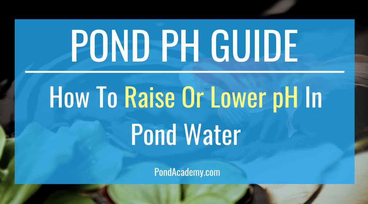 How to Raise or Lower PH in Pond Water (Pond PH Guide)
