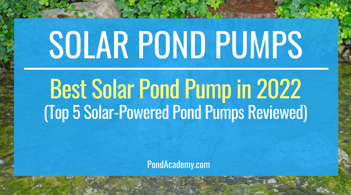 Best Solar Pond Pump in 2022 (5 SolarPowered Pond Pumps Reviewed)