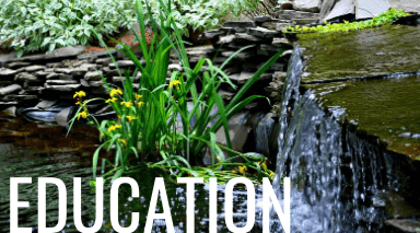 pond education