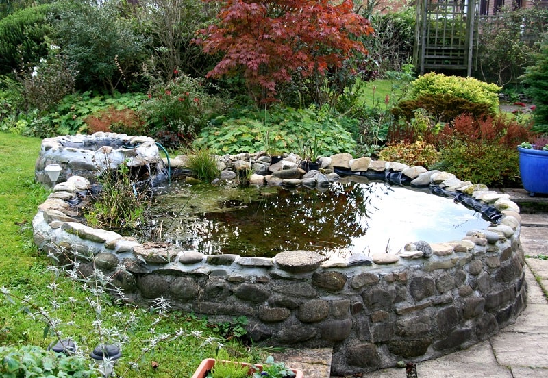 Raised garden pond idea 01