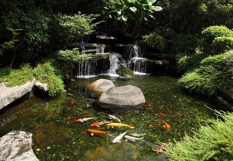 Koi Pond Waterfall Idea 9