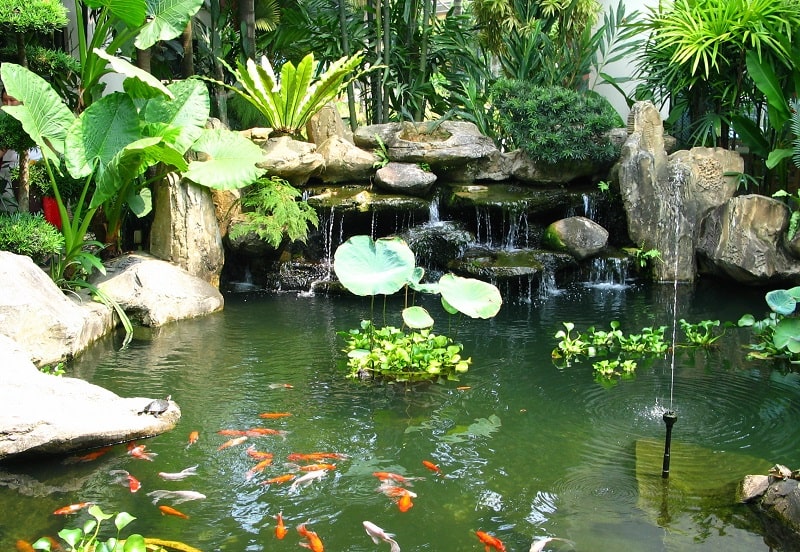 Koi Pond Waterfall Idea 11