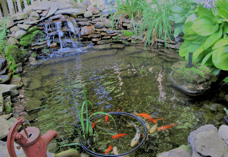 Koi Pond Waterfall Idea 1