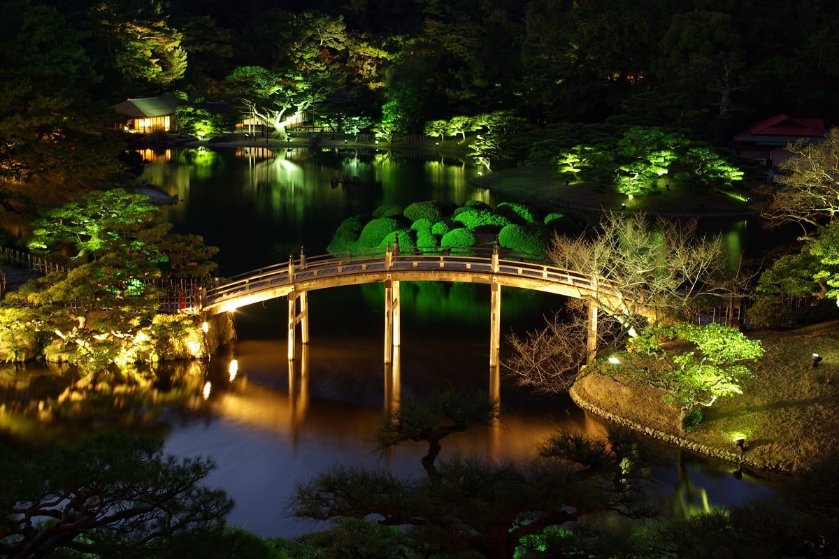 Pond Lighting Idea 1