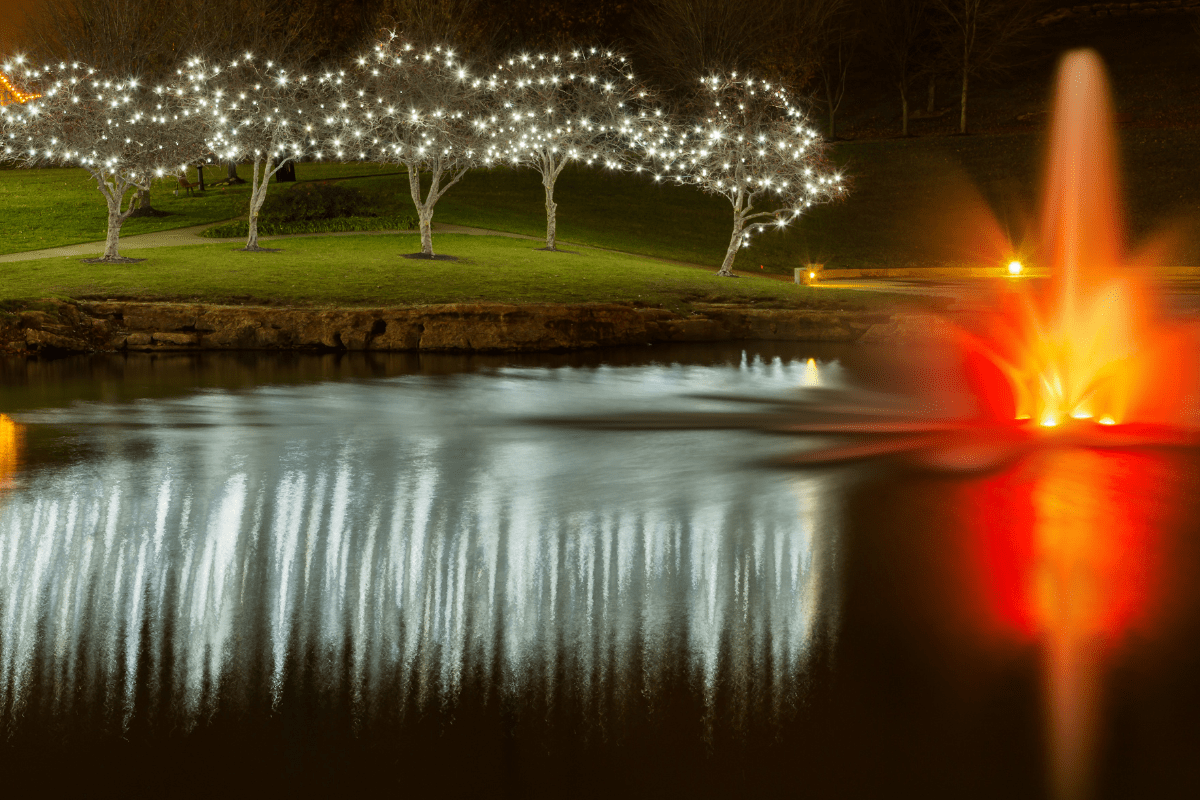 Pond Lighting Idea 2