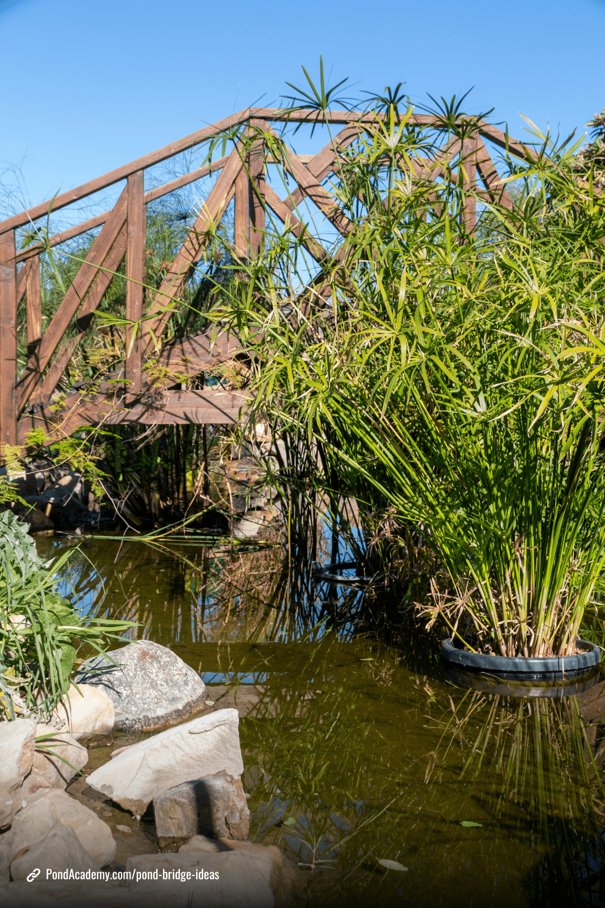 Pond bridge idea 9