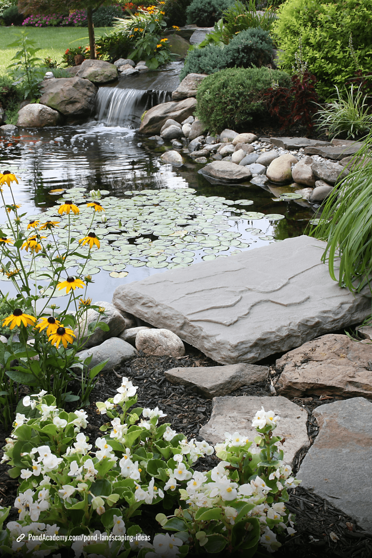 Pond landscaping idea 1