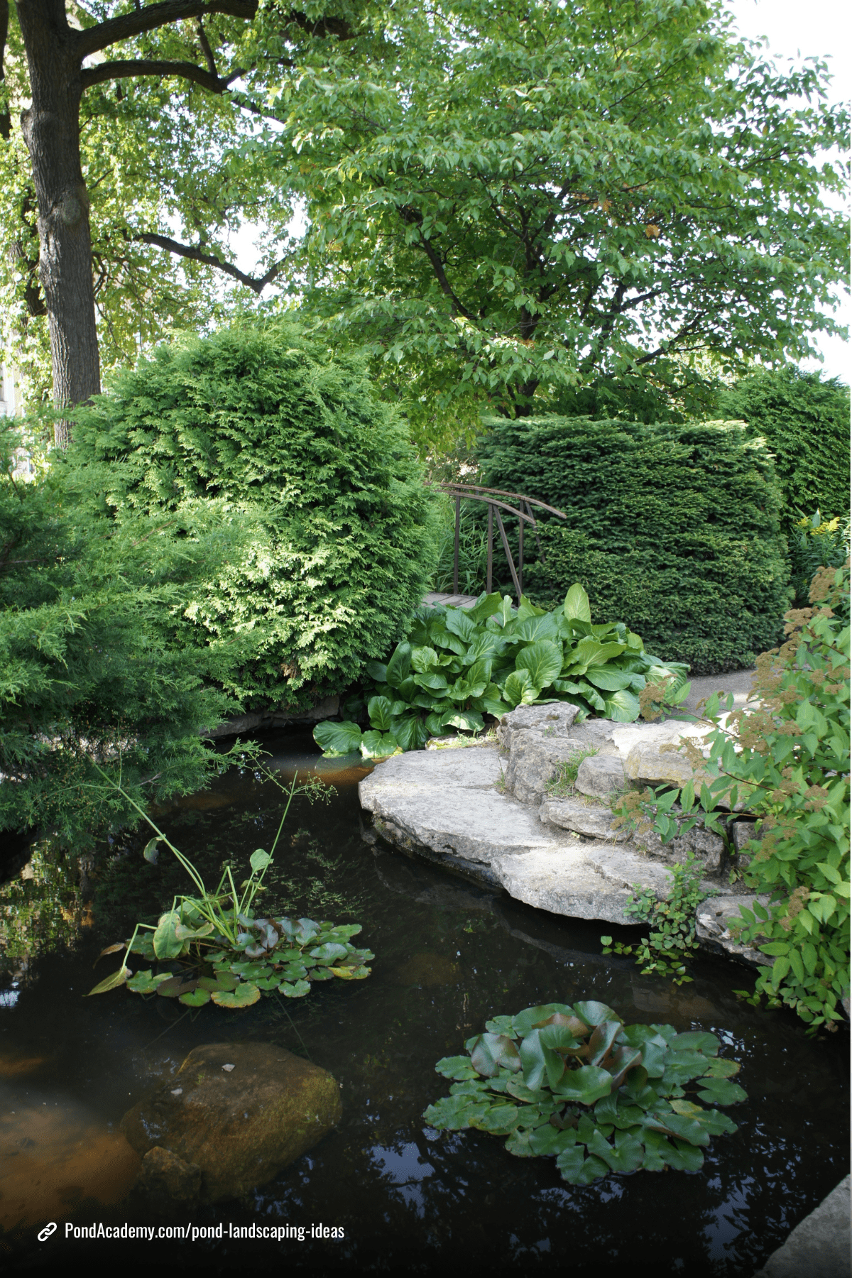 Pond landscaping idea 16