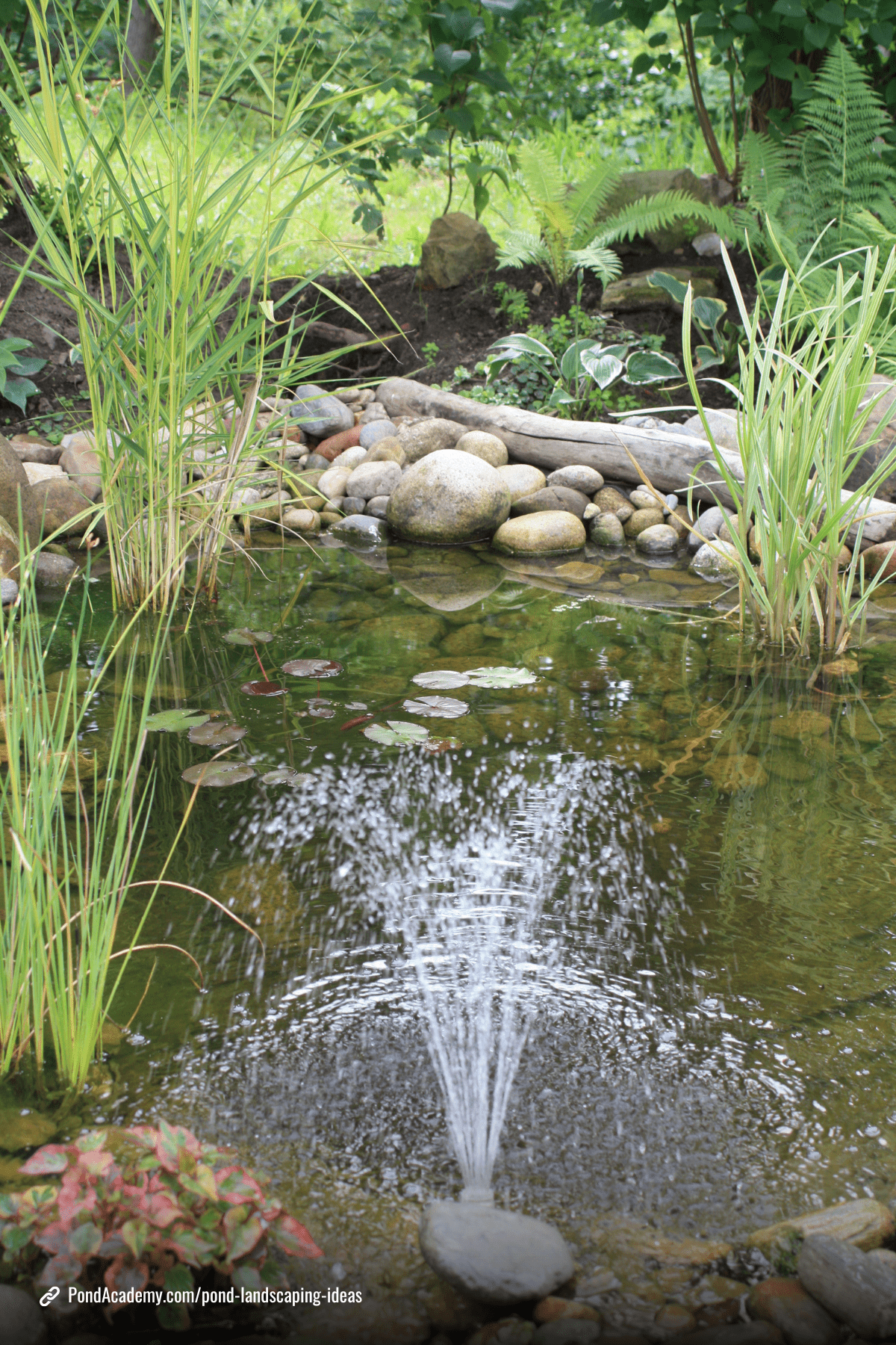 Pond landscaping idea 28