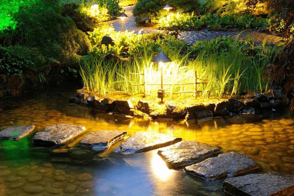 Pond Lighting Idea 3