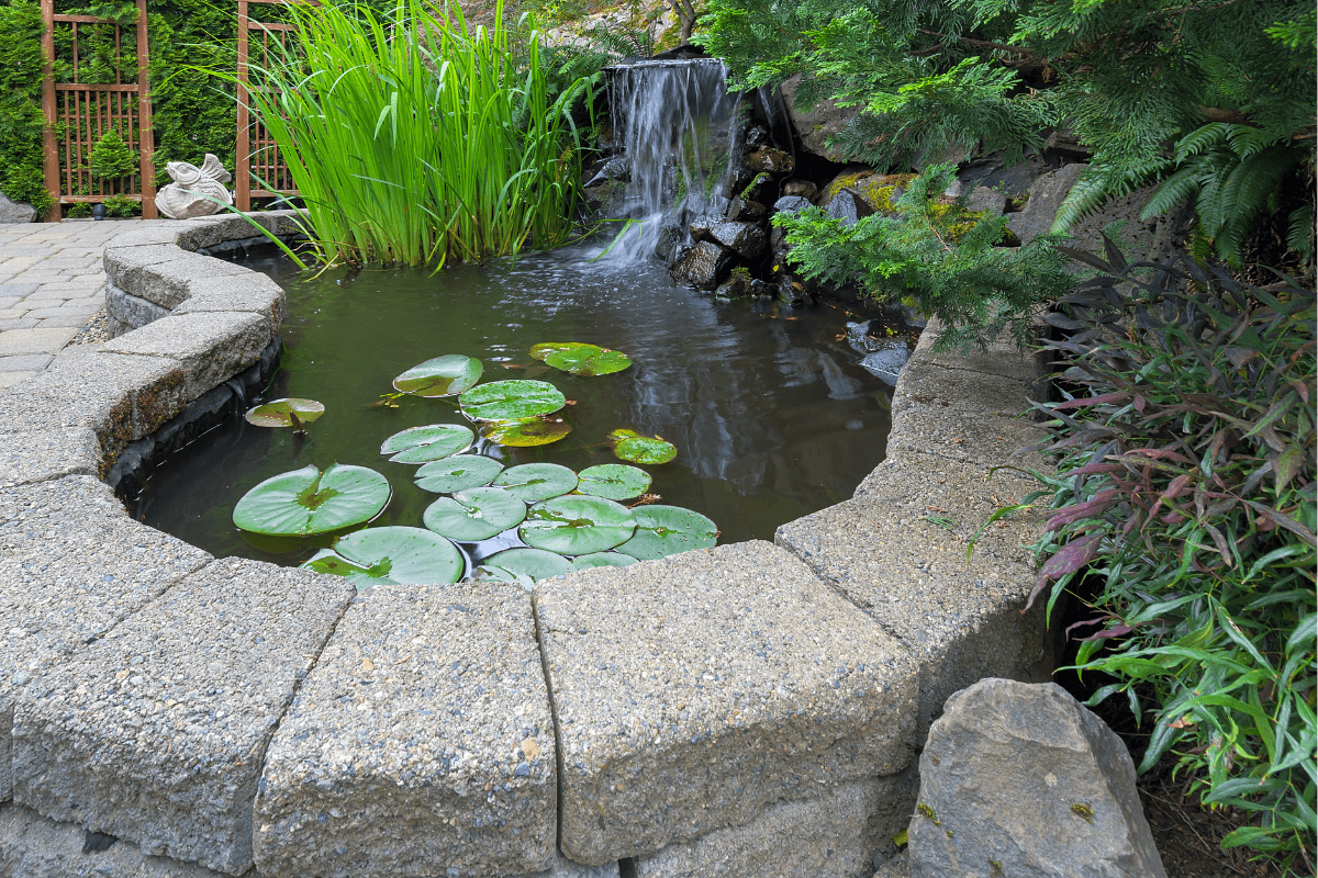 Raised garden pond idea 2