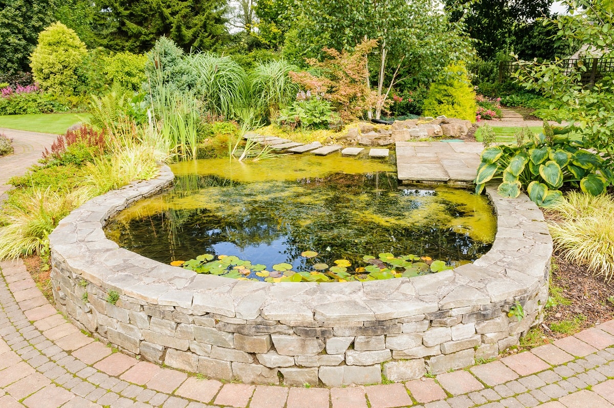 Small Corner Yard Waterfall Pond Idea 2