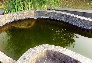 Concrete pond edge idea