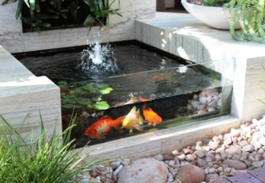 Raised pond finished with a smooth concrete cap and straight wall