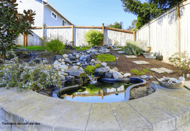 Backyard pond with waterfall idea