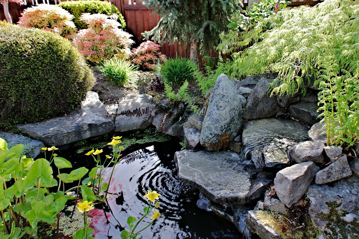 16 Small Corner Yard Waterfall Pond Ideas (With Pictures)