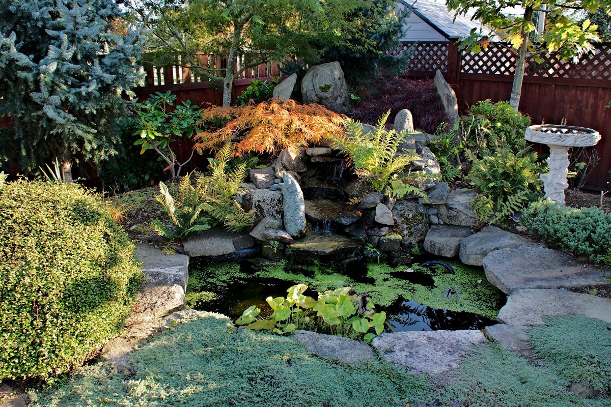 Small Corner Yard Waterfall Pond Idea 5