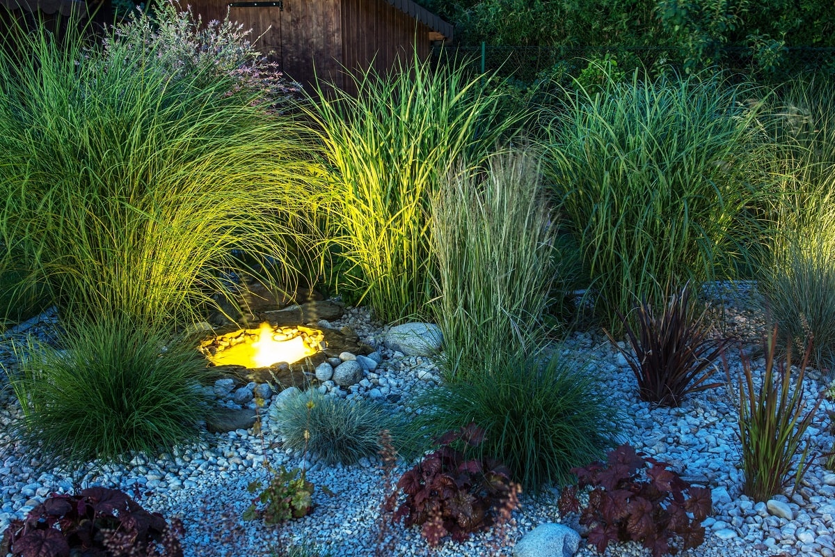 Pond Lighting Idea 6