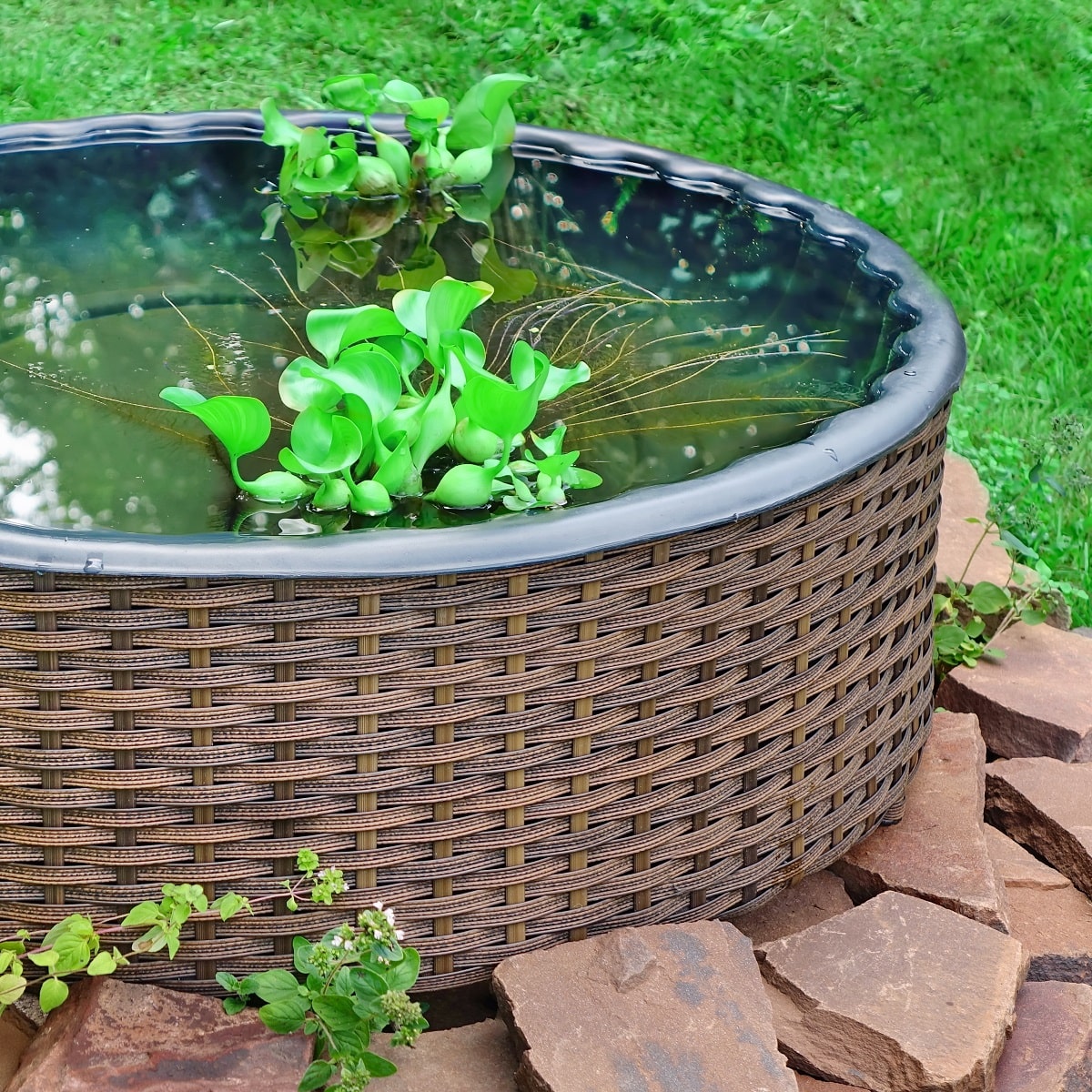 37 Small Pond Ideas For Your Backyard