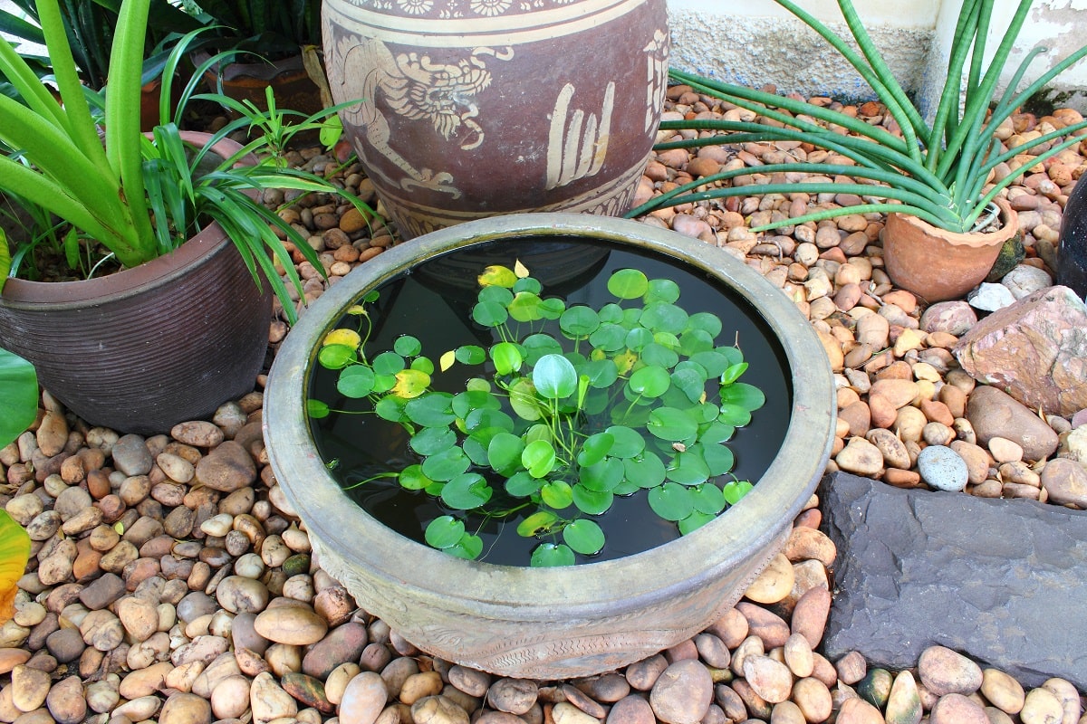 Small Corner Yard Waterfall Pond Idea 4