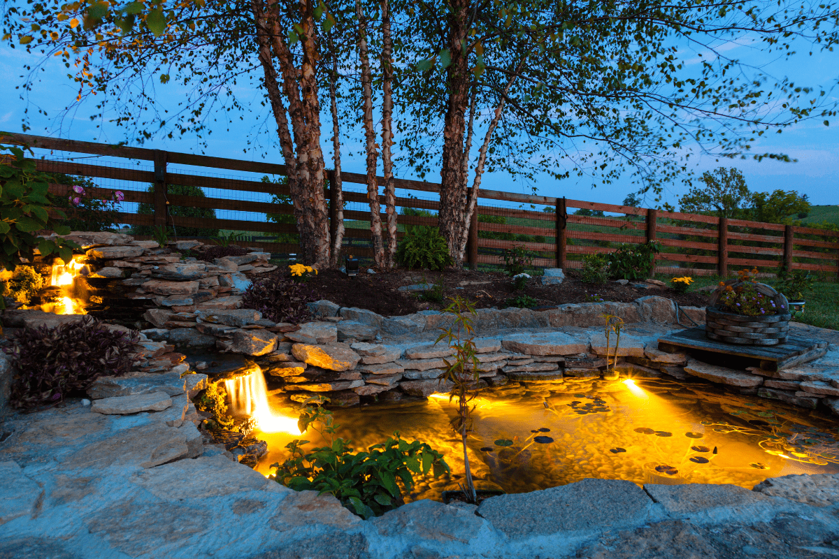 Pond Lighting Idea 8