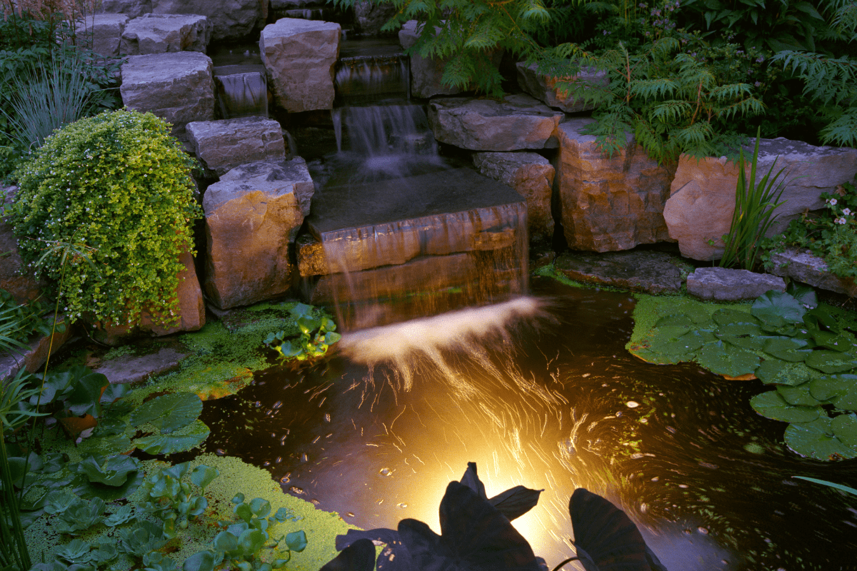 9 Pond Lighting Ideas for an Amazingly Bright Pond