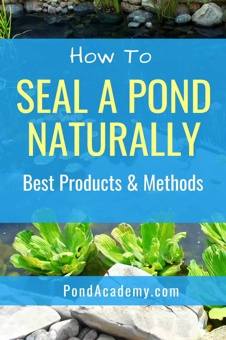 Pond Sealer How To Seal A Pond Naturally (Best Products & Methods