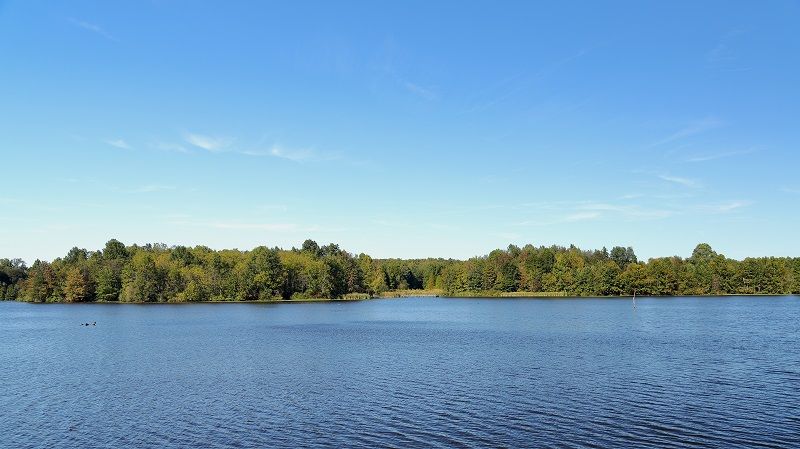 largest pond