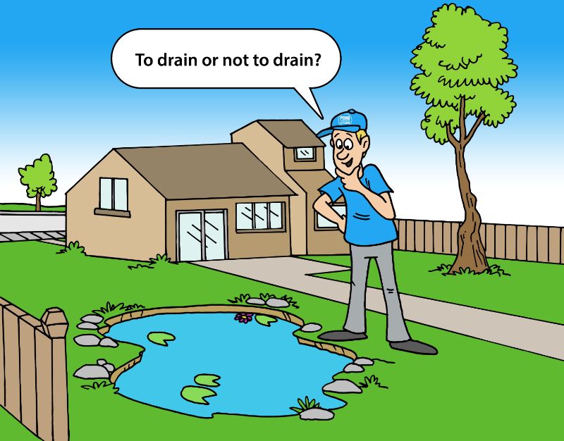 How To Easily Drain A Pond With Or Without A Pump